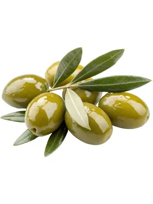 Zeytin