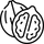 Ceviz