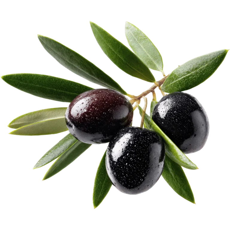 Kurmalık ham siyah zeytin