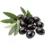 siyah zeytin