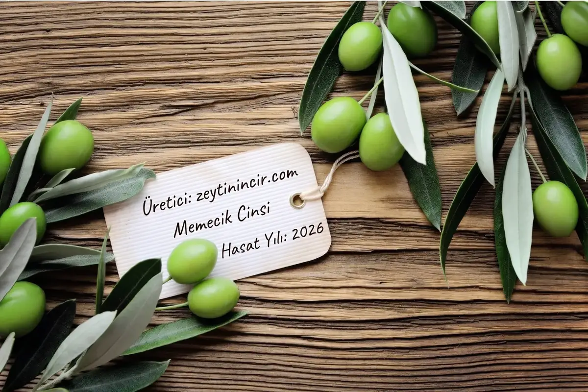 Zeytinyağı etiketinde bulunması gereken bilgiler: üretici, zeytin çeşidi Memecik ve hasat yılı 2026